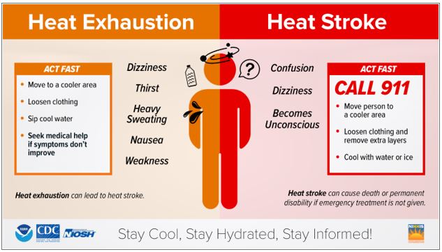 Heat Exhaustion vs Heat Stroke